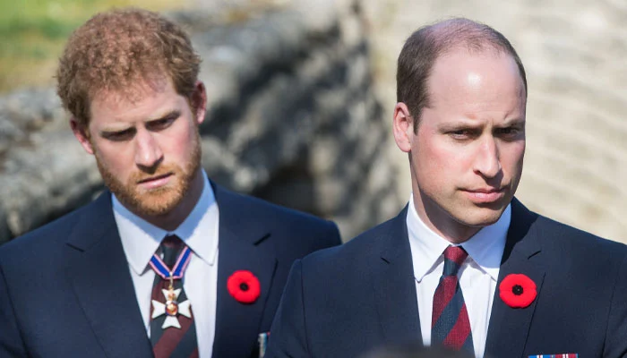 Prince Harry hurt by Prince William