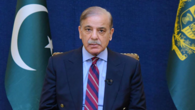 PM Shehbaz SDGS and address global challenges