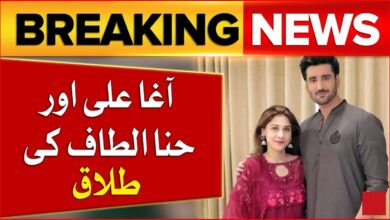 Agha Ali divorce with Hina Altaf