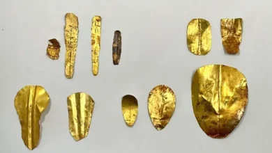 Ancient mummies with gold tongues