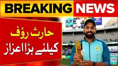 Haris Rauf Player of the month ICC