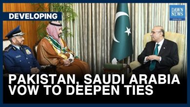 Pakistan Saudi Arabia vow to address