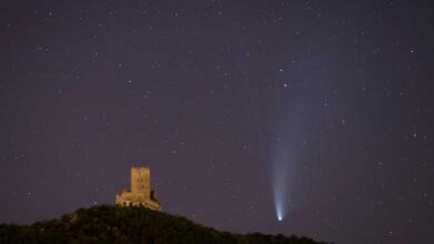 comets making life possible on Earth