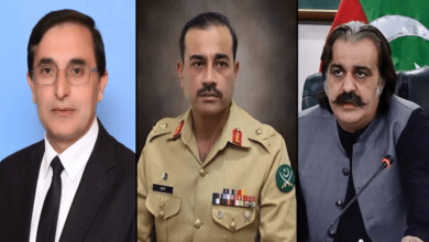 Met army chief with Gandapur