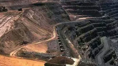 Pakistan, Saudi Arabia Reko Diq deal