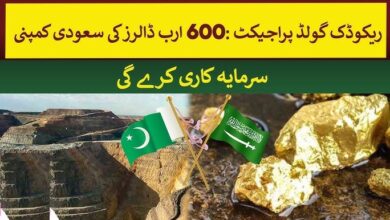 Saudi’s Manara Minerals Reko Diq gold project