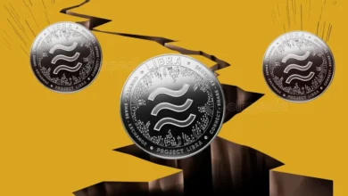 Cryptocurrency Milei crashes