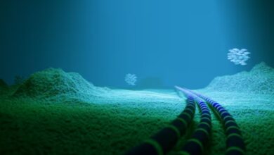 Meta undersea cable