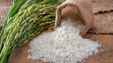 Pakistan Bangladesh rice exports