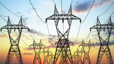 IPPs can opt for audit
