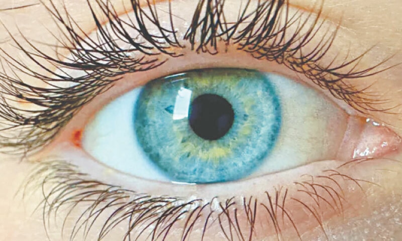 Scientists claim new colour