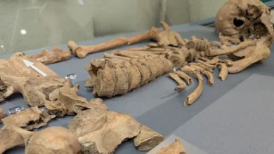 Skeleton in York