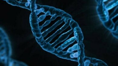 US FDA approves first cell rare genetic skin disorder