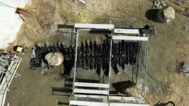 Medieval shipwreck unearthed