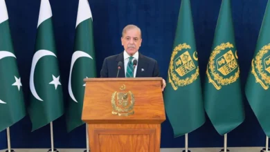 PM Shehbaz after ceasefire