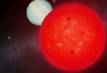 Small star birthed giant exoplanet