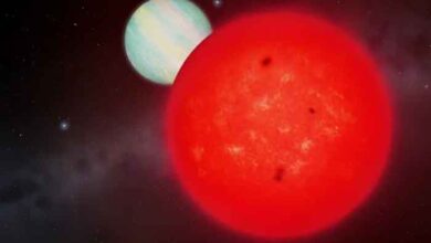 Small star birthed giant exoplanet