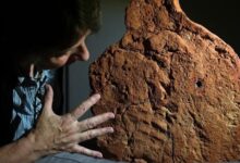 UK researchers uncover 4,000